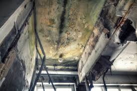 Best Mold Removal for HVAC Installations  in Lyons, GA